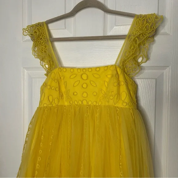 Anthropologie Let Me Be Eyelet Tulle Mini Dress - Picture 6 of 15
